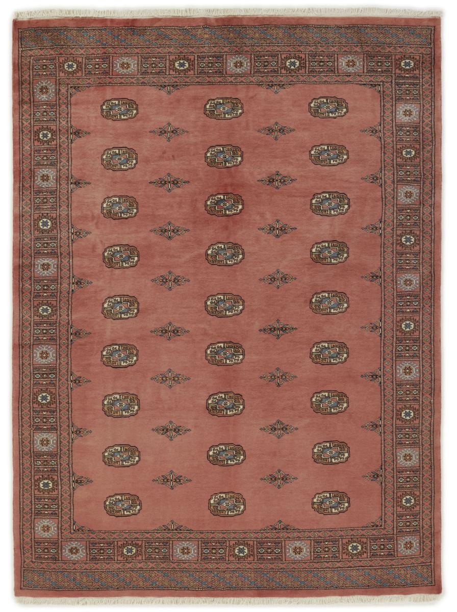 Tapis pakistanais Pakistan Buchara 3ply 233x171 233x171, Tapis persan Noué à la main