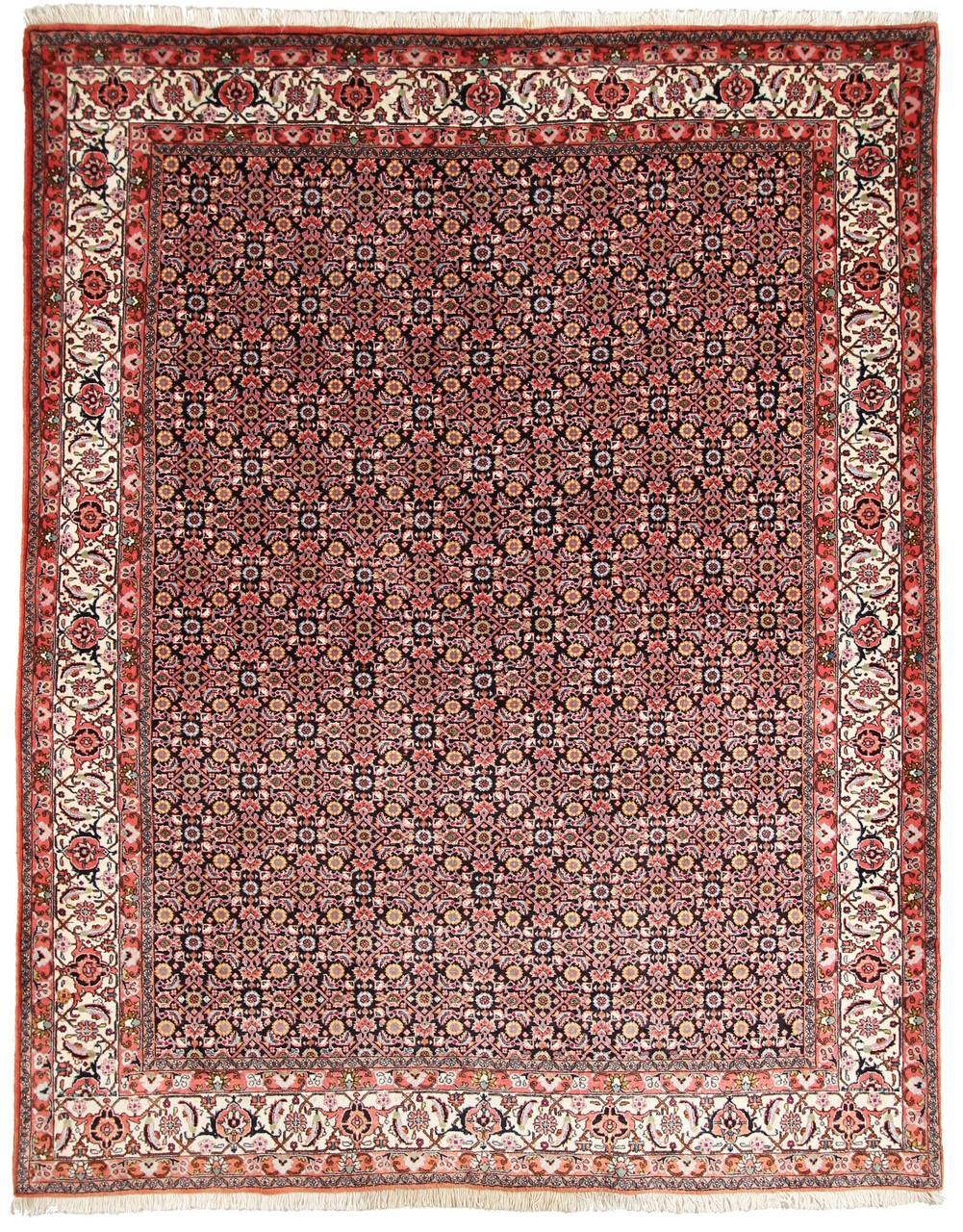 Perzisch tapijt Bidjar Tekab 250x200 250x200, Perzisch tapijt Handgeknoopte