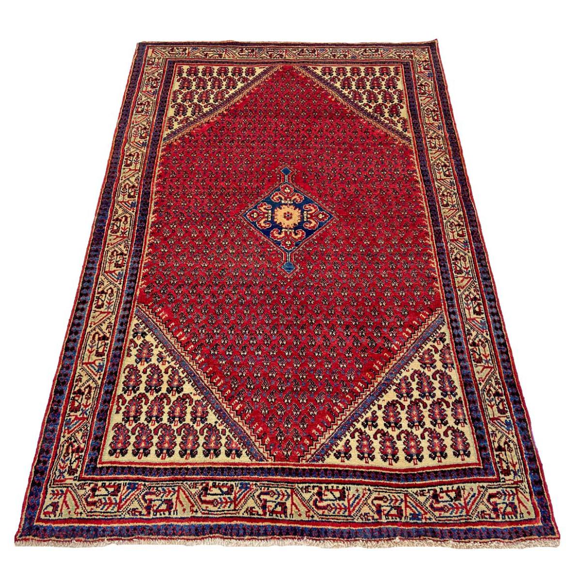 Sarough Mir Boteh - 1