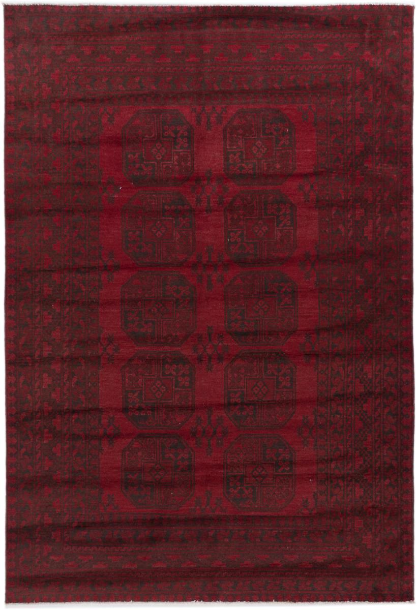 Afghaans tapijt Afghan Akhche 242x166 242x166, Perzisch tapijt Handgeknoopte