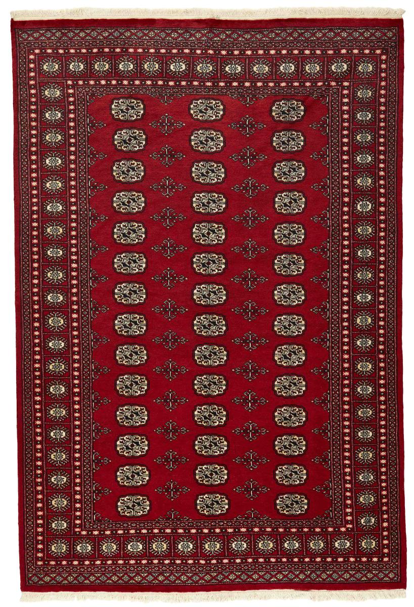 Tappeto pakistano Pakistan Buchara 2ply 249x167 249x167, Tappeto persiano Annodato a mano