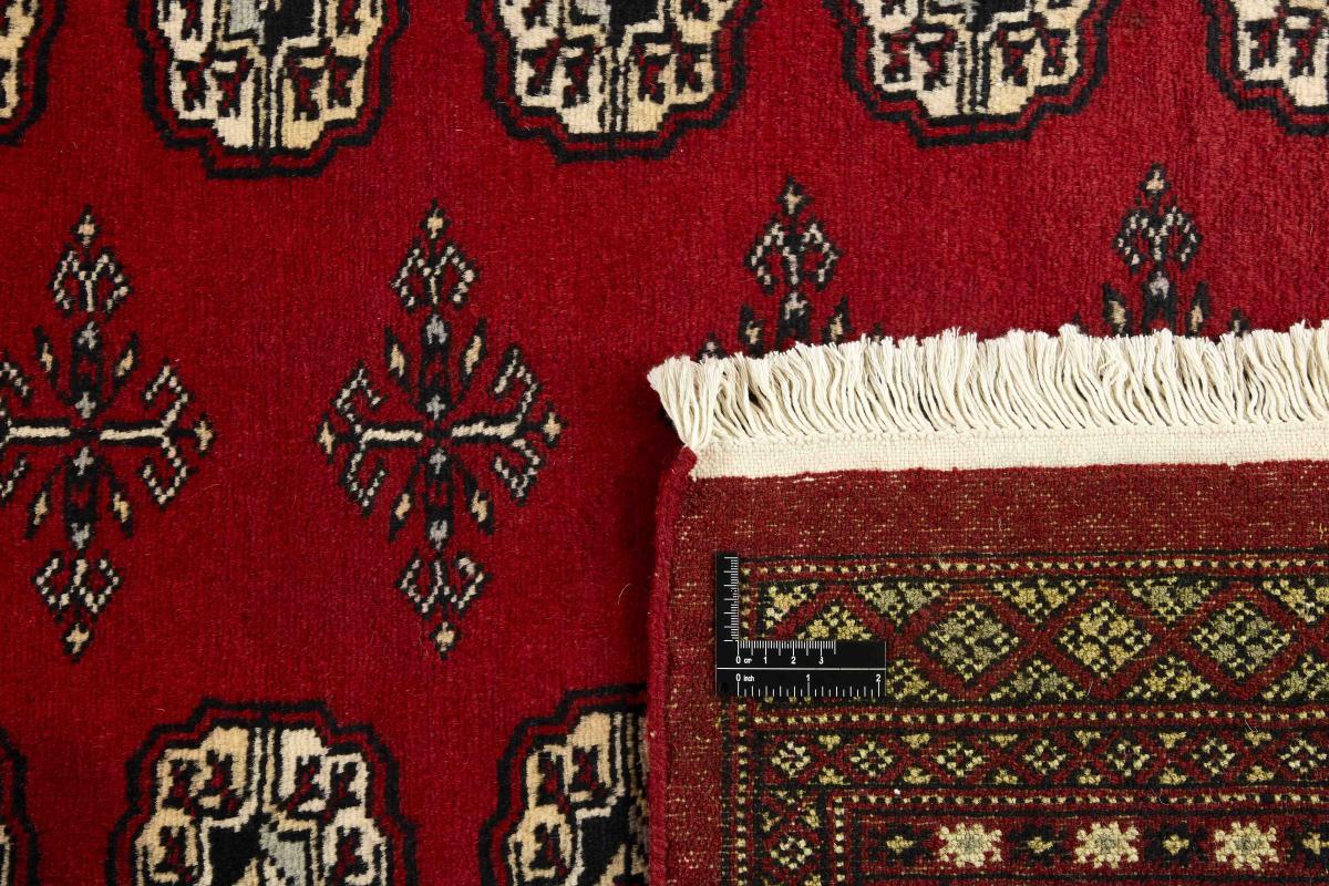 Pakistan Buchara 2ply - 1