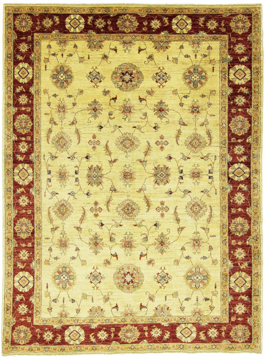 Tapis afghan Ziegler Farahan 241x181 241x181, Tapis persan Noué à la main