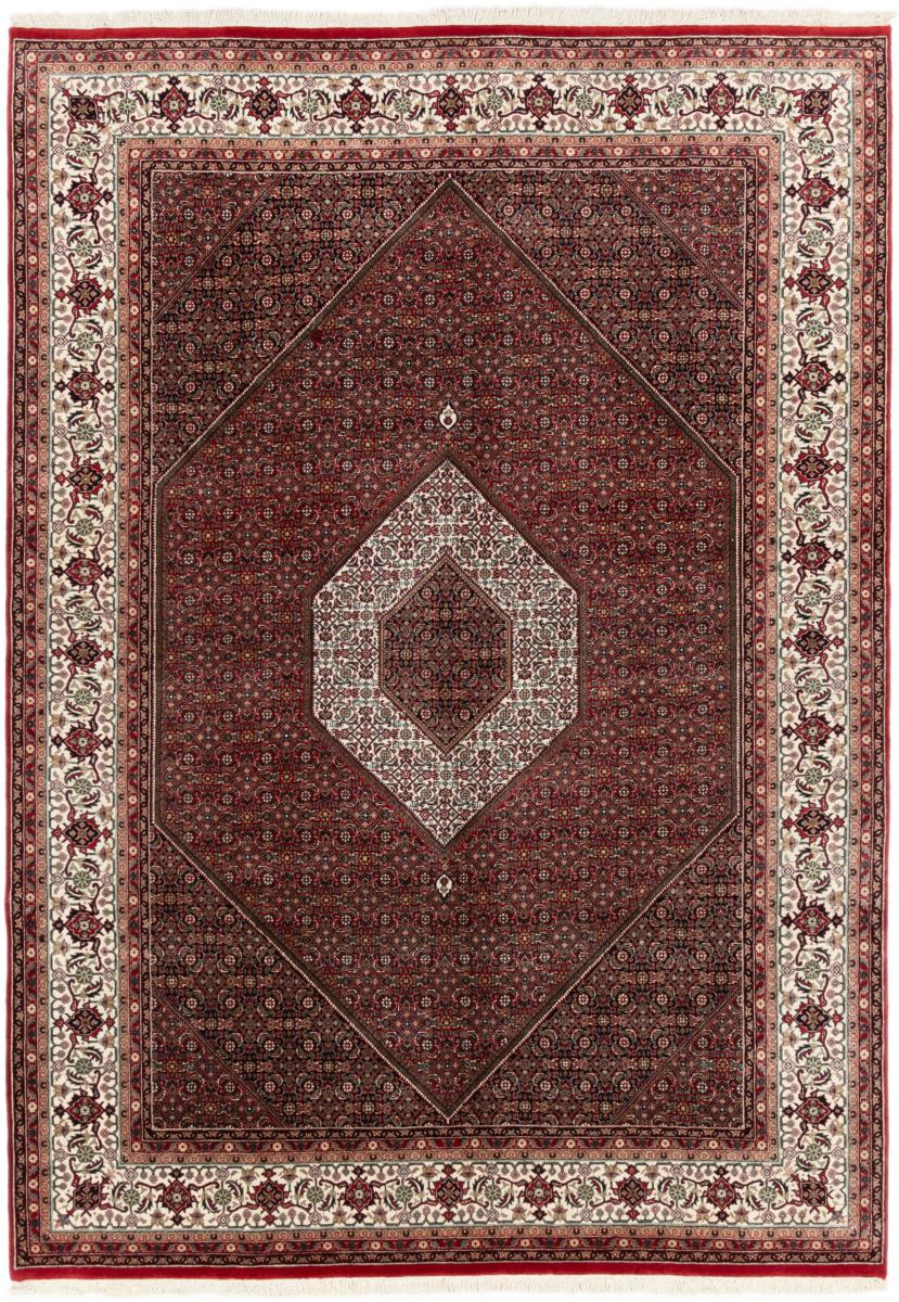 Indo rug Bidjar 250x350 250x350, Persian Rug Knotted by hand