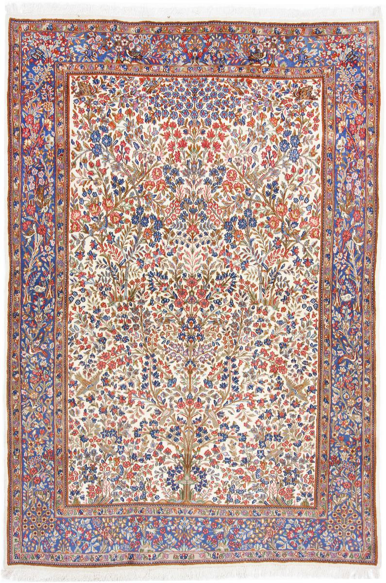 Tappeto persiano Kirman 254x189 254x189, Tappeto persiano Annodato a mano