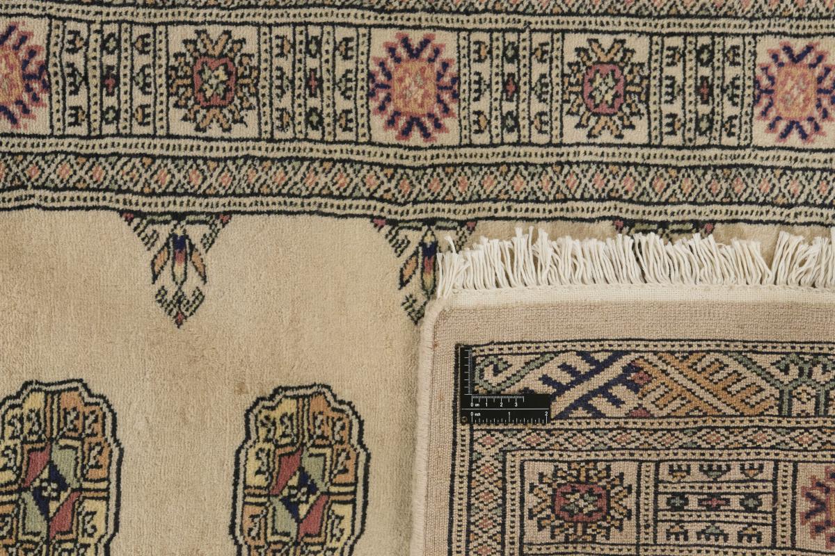 Pakistan Buchara 3ply - 1