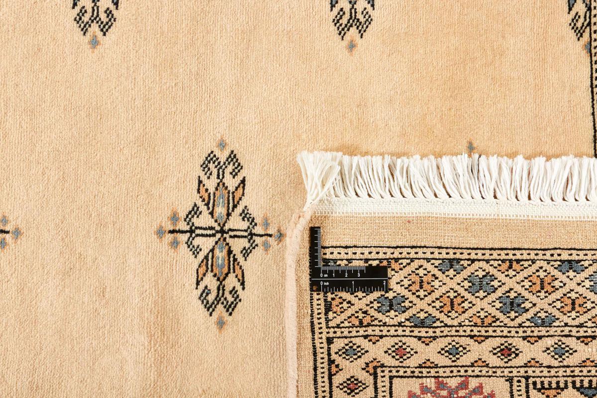 Pakistan Buchara 3ply - 1