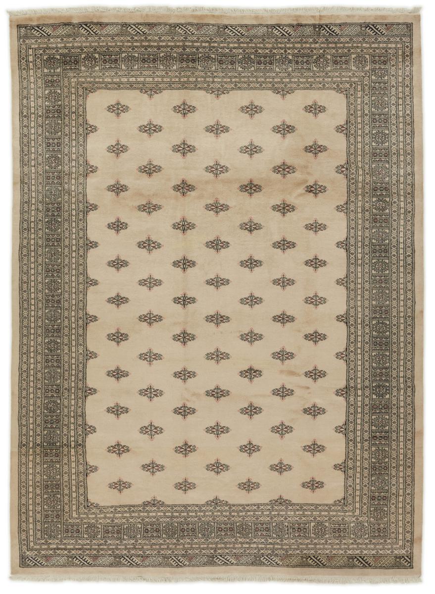 Pakistani rug Pakistan Buchara 2ply 11'1"x8'2" 11'1"x8'2", Persian Rug Knotted by hand