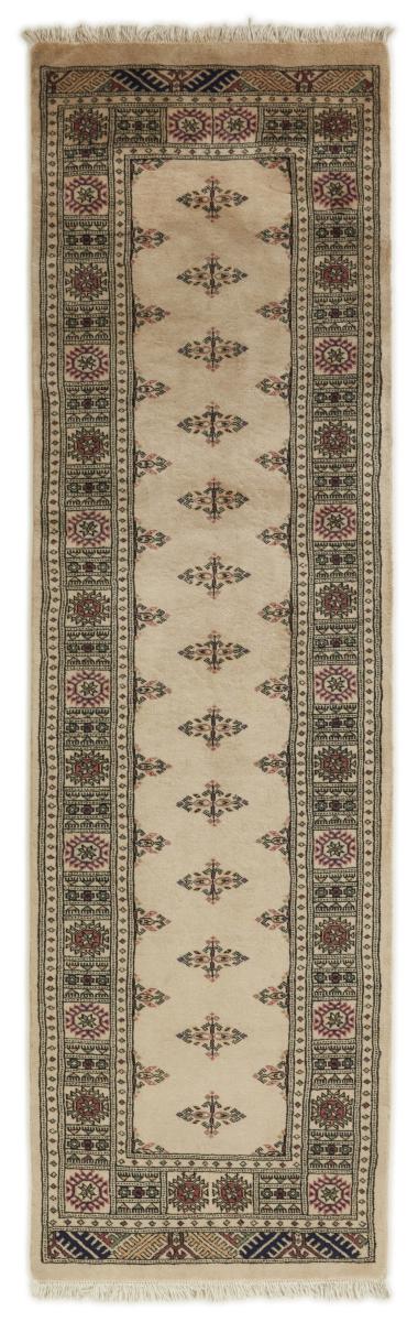 Alfombra pakistaní Pakistan Buchara 3ply 258x78 258x78, Alfombra persa Anudado a mano