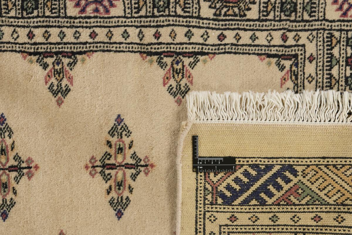 Pakistan Buchara 3ply - 1