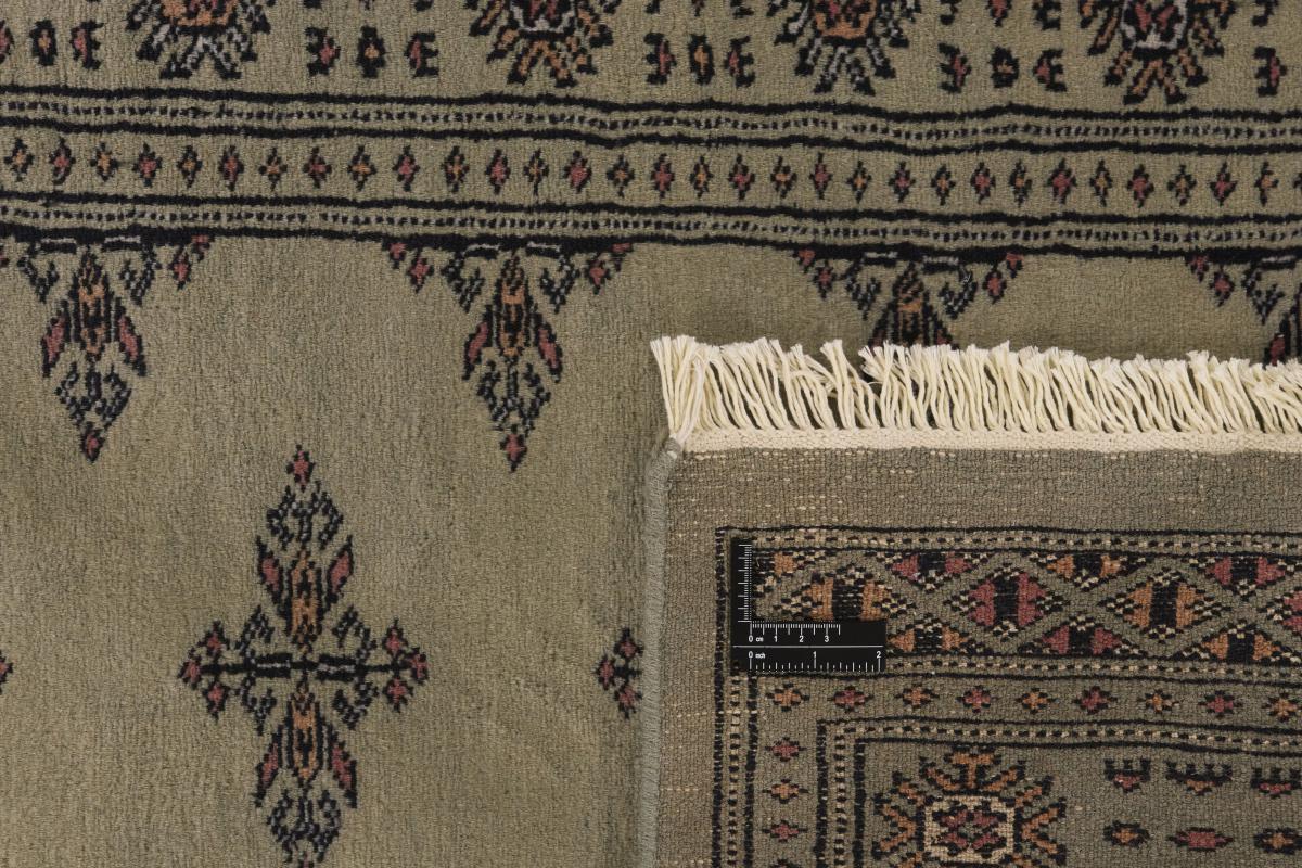 Pakistan Buchara 3ply - 1