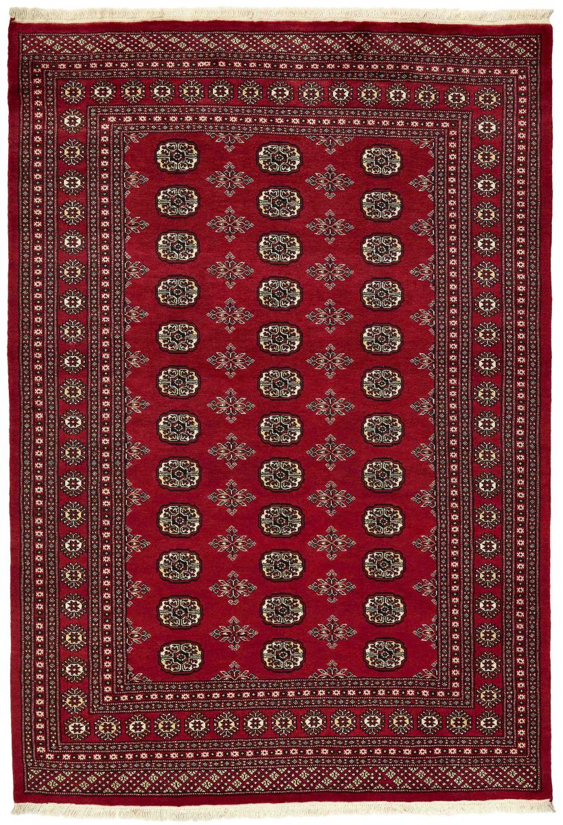 Tapis pakistanais Pakistan Buchara 2ply 246x172 246x172, Tapis persan Noué à la main