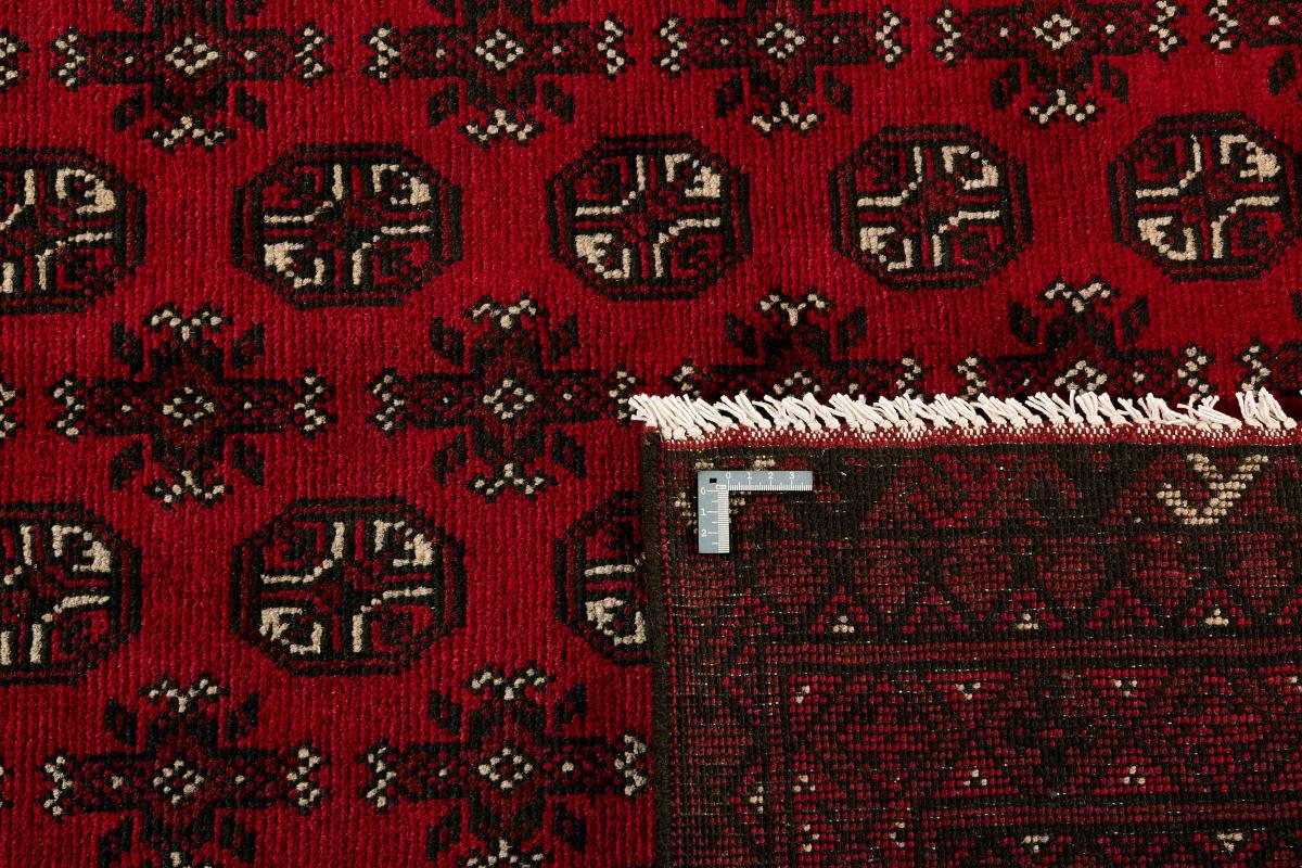 Afegão Akhche - 1