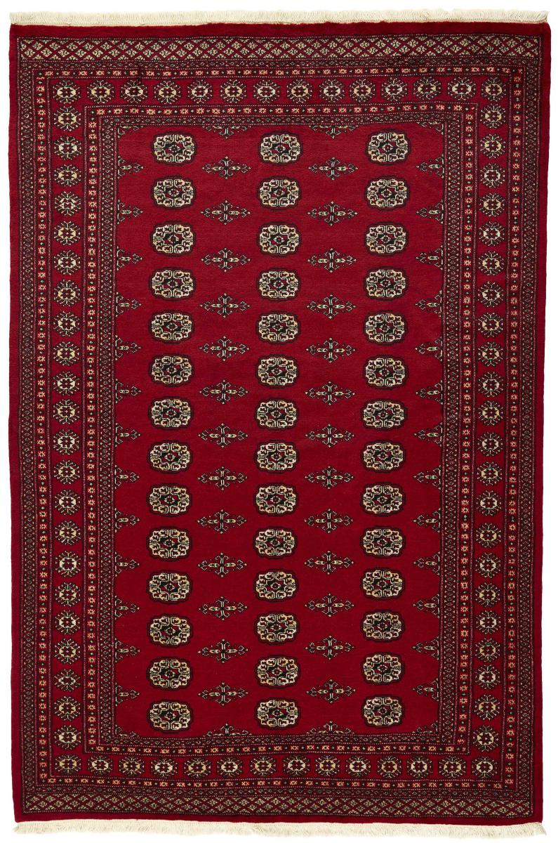 Tappeto pakistano Pakistan Buchara 2ply 248x170 248x170, Tappeto persiano Annodato a mano