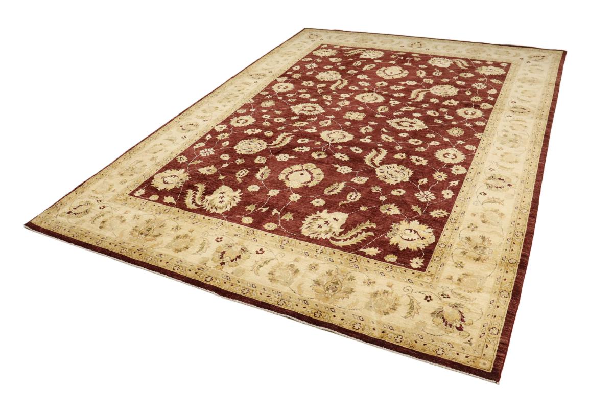 Ziegler Farahan - 1