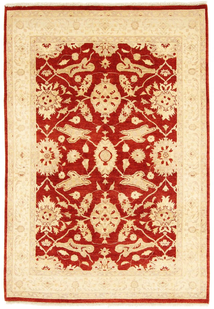 Pakistansk matta Ziegler Farahan 176x124 176x124, Persisk matta Knuten för hand