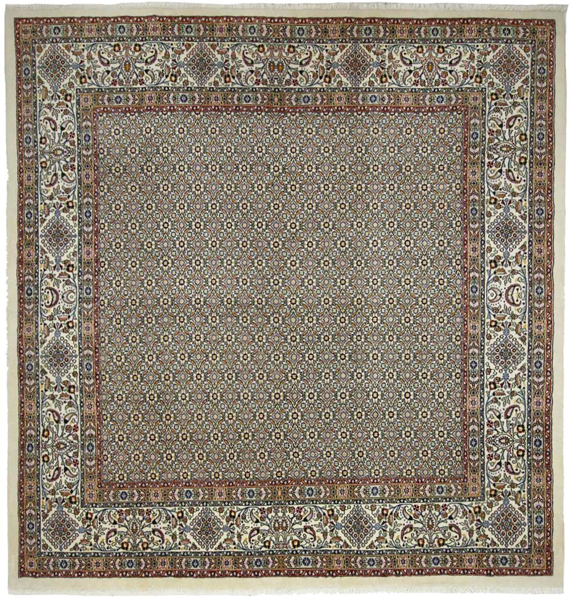 Perzsa szőnyeg Moud 247x245 247x245, Perzsa szőnyeg Kézzel csomózva