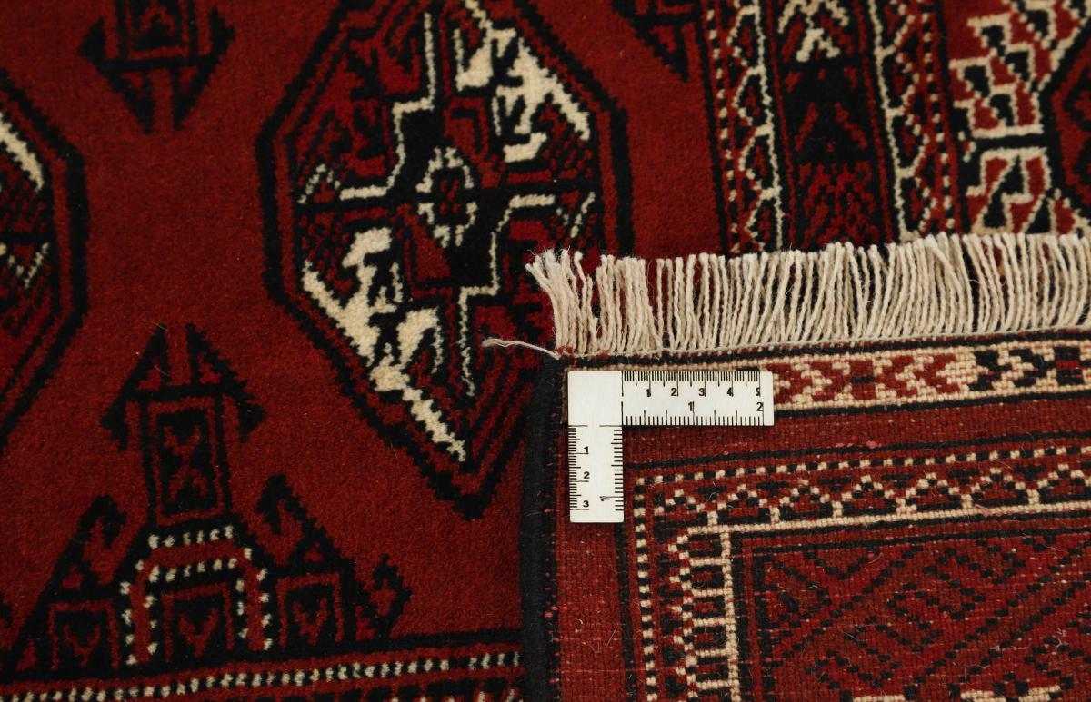 Turkaman - 1