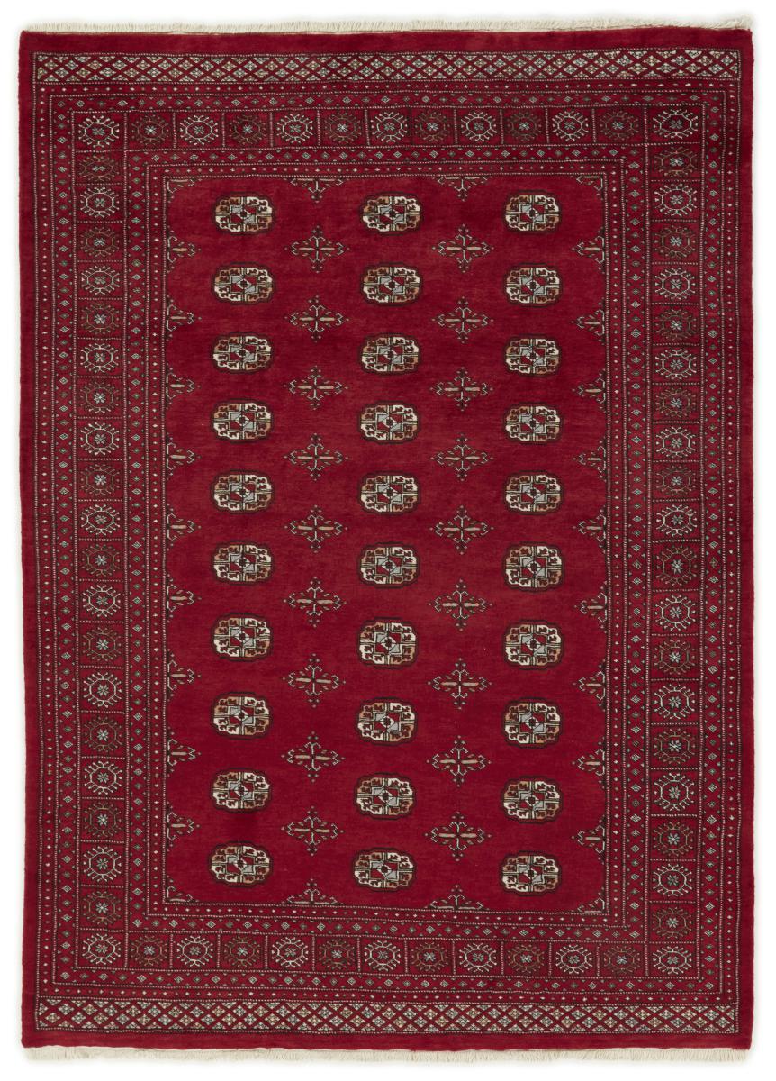 Pakistani rug Pakistan Buchara 3ply 238x168 238x168, Persian Rug Knotted by hand