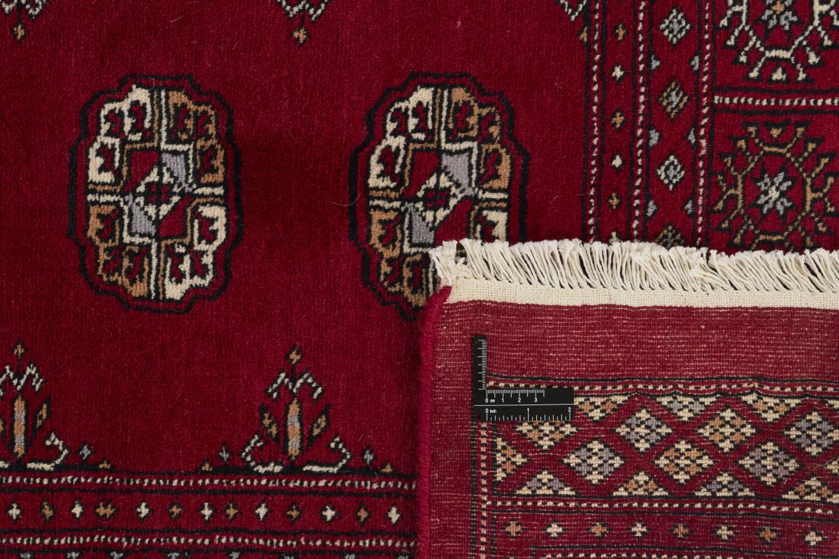 Pakistan Buchara 3ply - 1