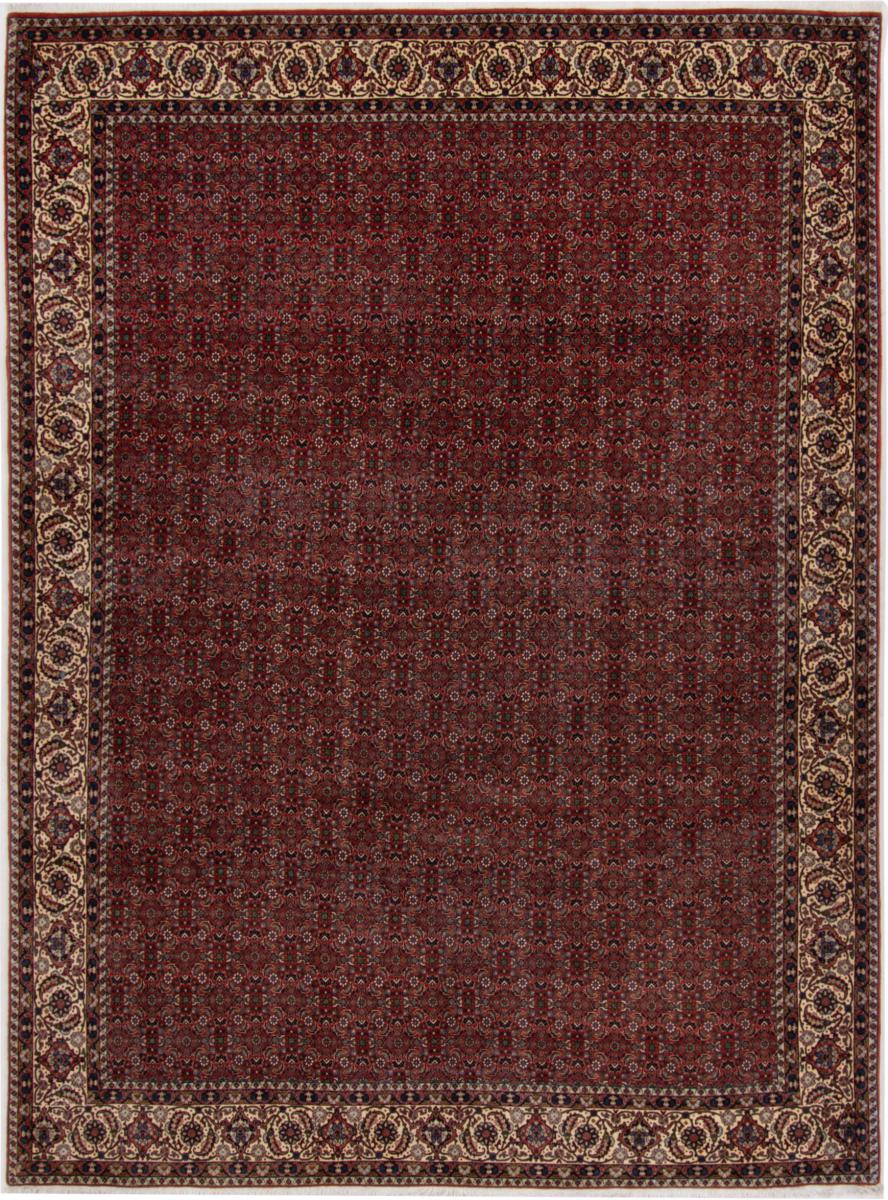 Persian Rug Bidjar 335x244 335x244, Persian Rug Knotted by hand