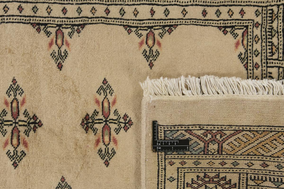 Pakistan Buchara 3ply - 1