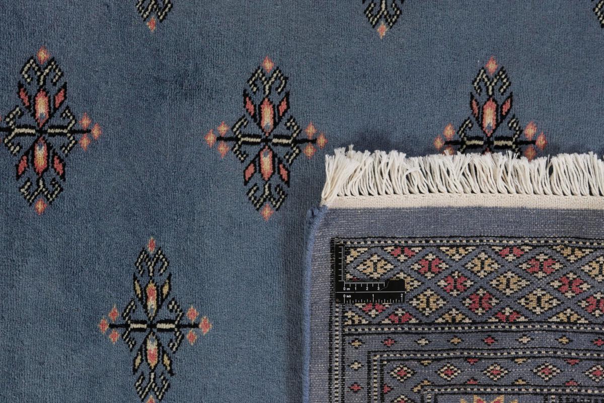 Pakistan Buchara 2ply - 1
