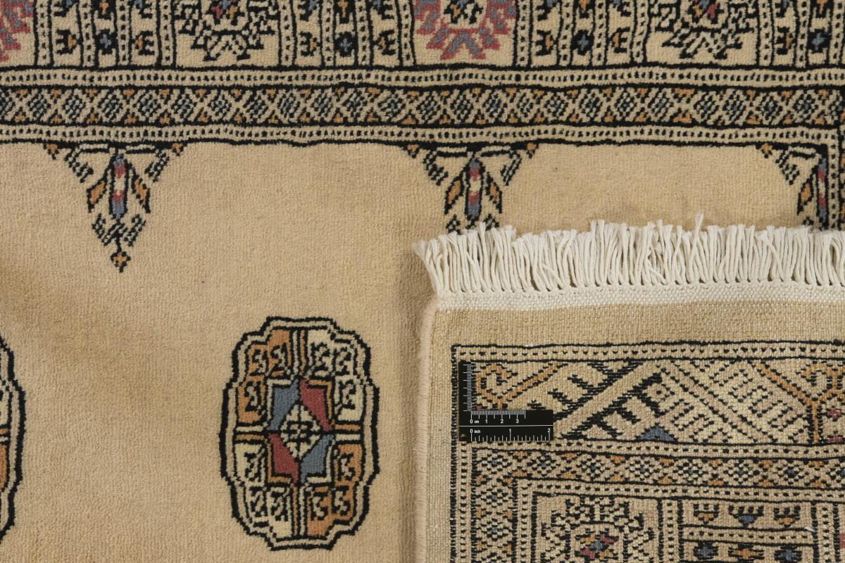 Pakistan Buchara 3ply - 1