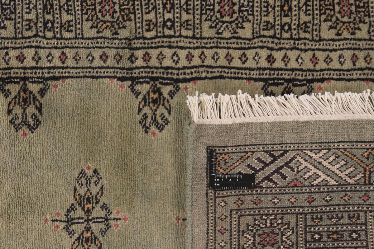 Pakistan Buchara 3ply - 1