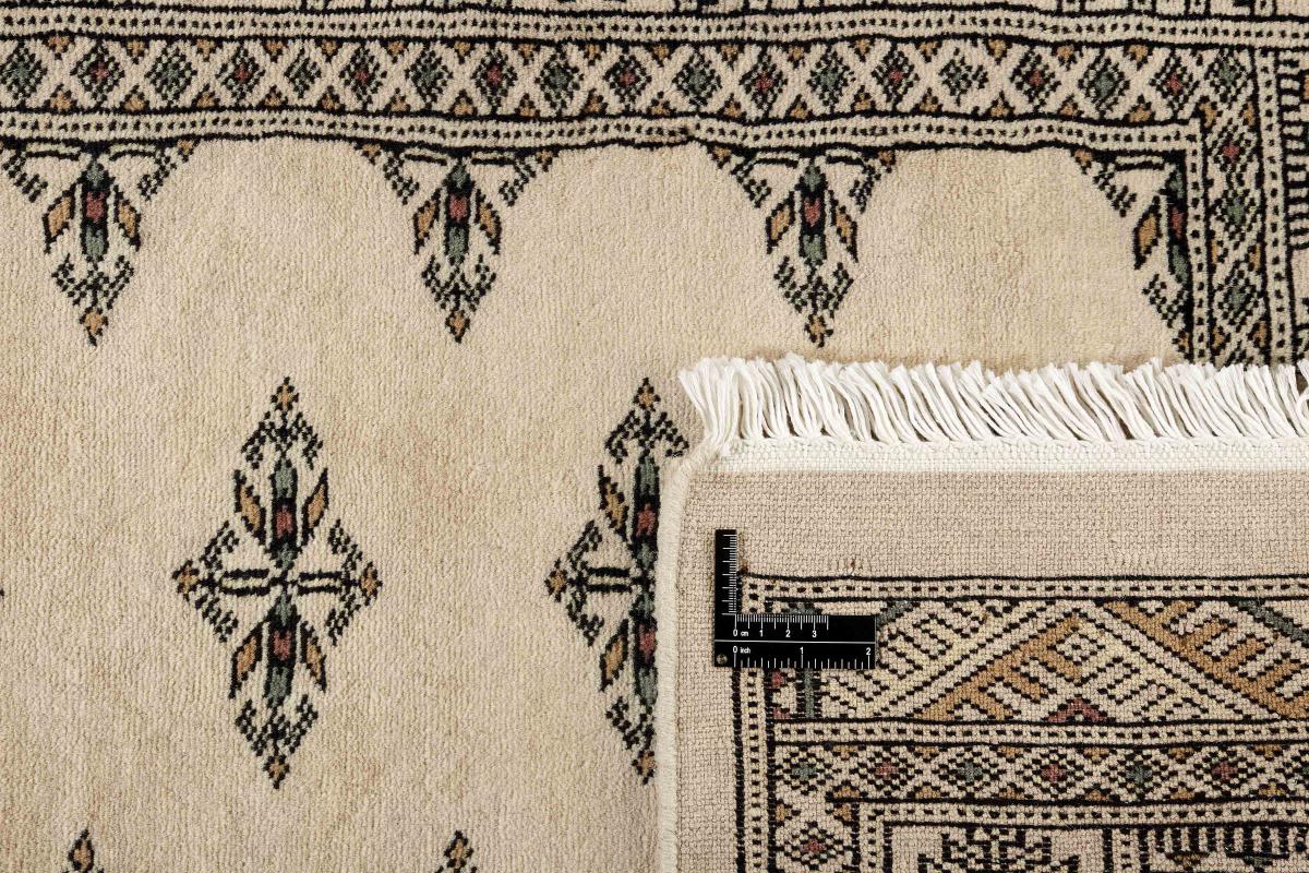 Pakistan Buchara 3ply - 1