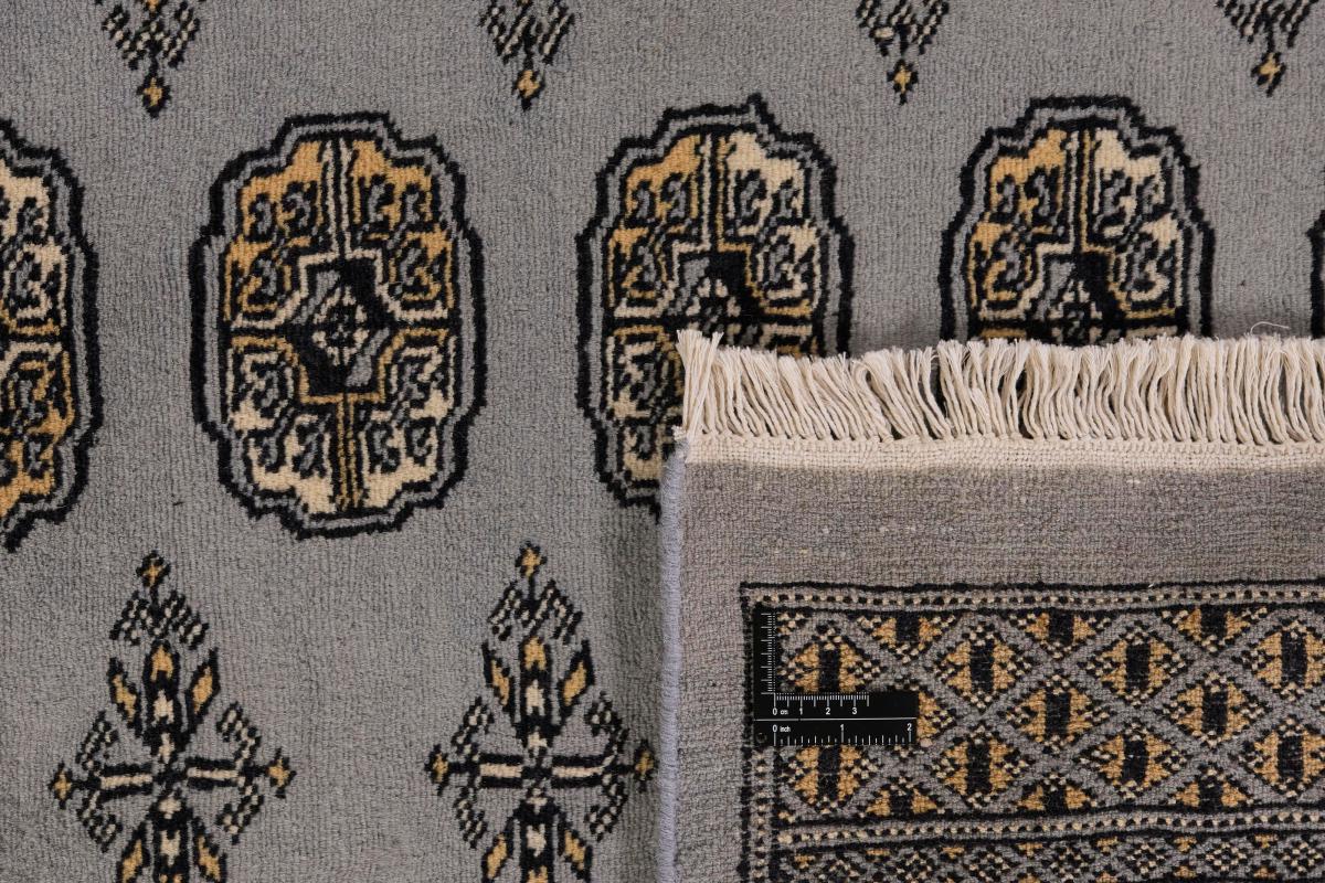 Pakistan Buchara 2ply - 1