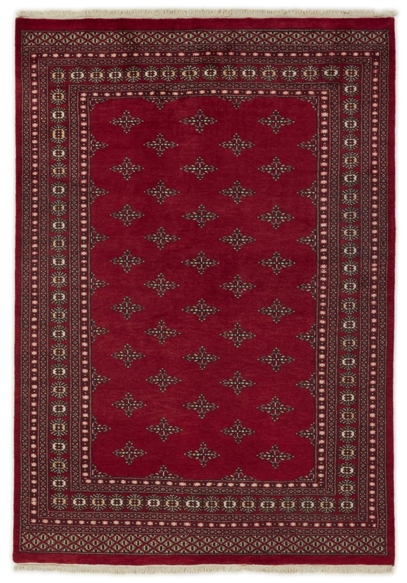 Tapis pakistanais Pakistan Buchara 2ply 244x168 244x168, Tapis persan Noué à la main