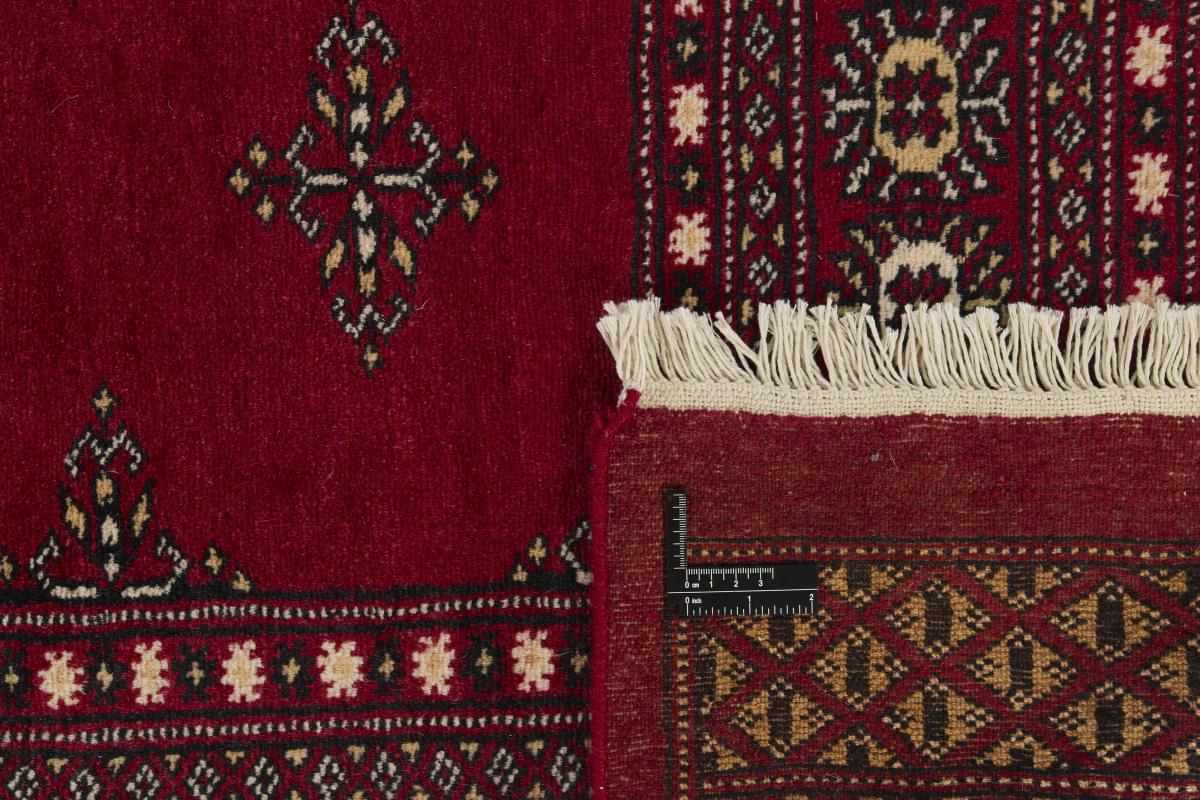 Pakistan Buchara 2ply - 1