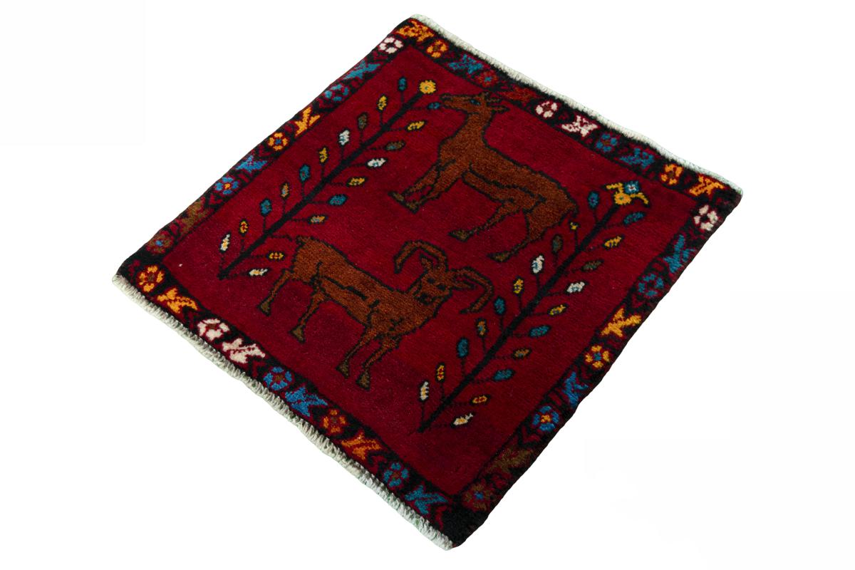 Shiraz - 1