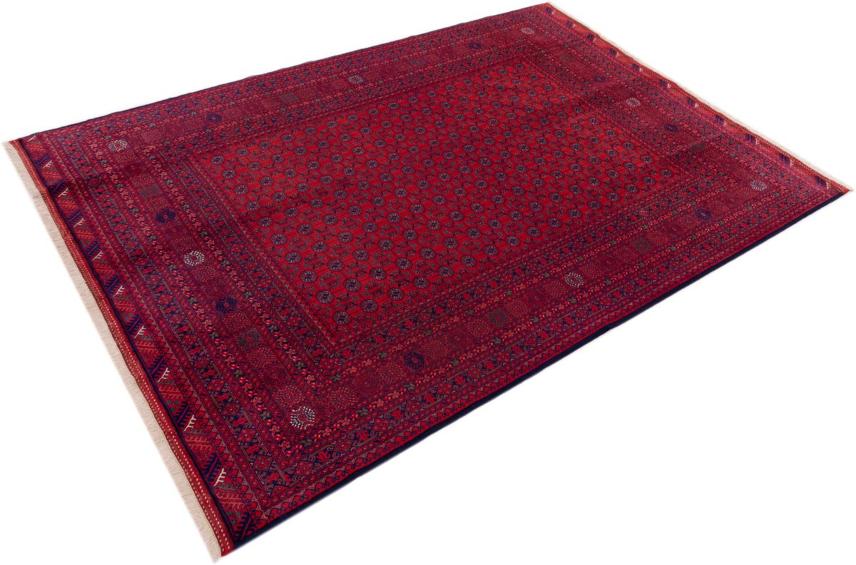 Afghan Mauri - 1