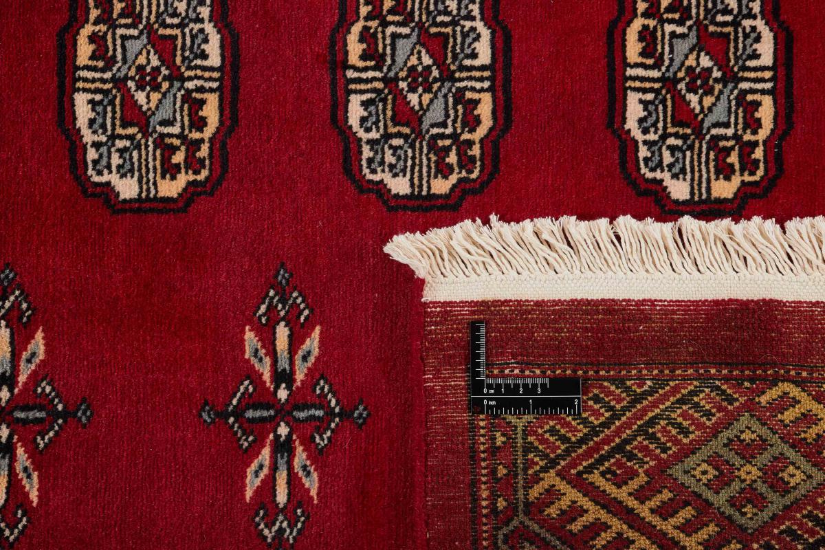 Pakistan Buchara 2ply - 1