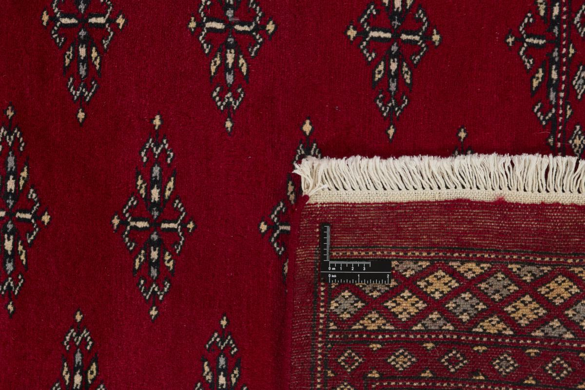 Pakistan Buchara 2ply - 1