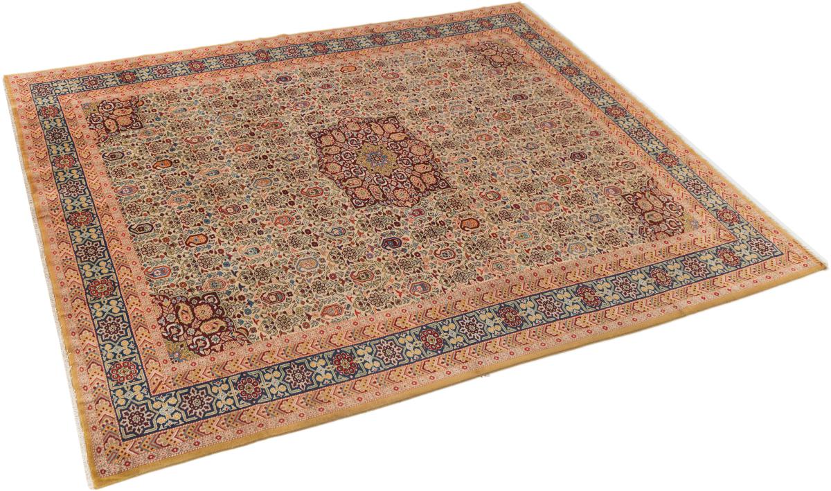 Shirwan Gamle - 1