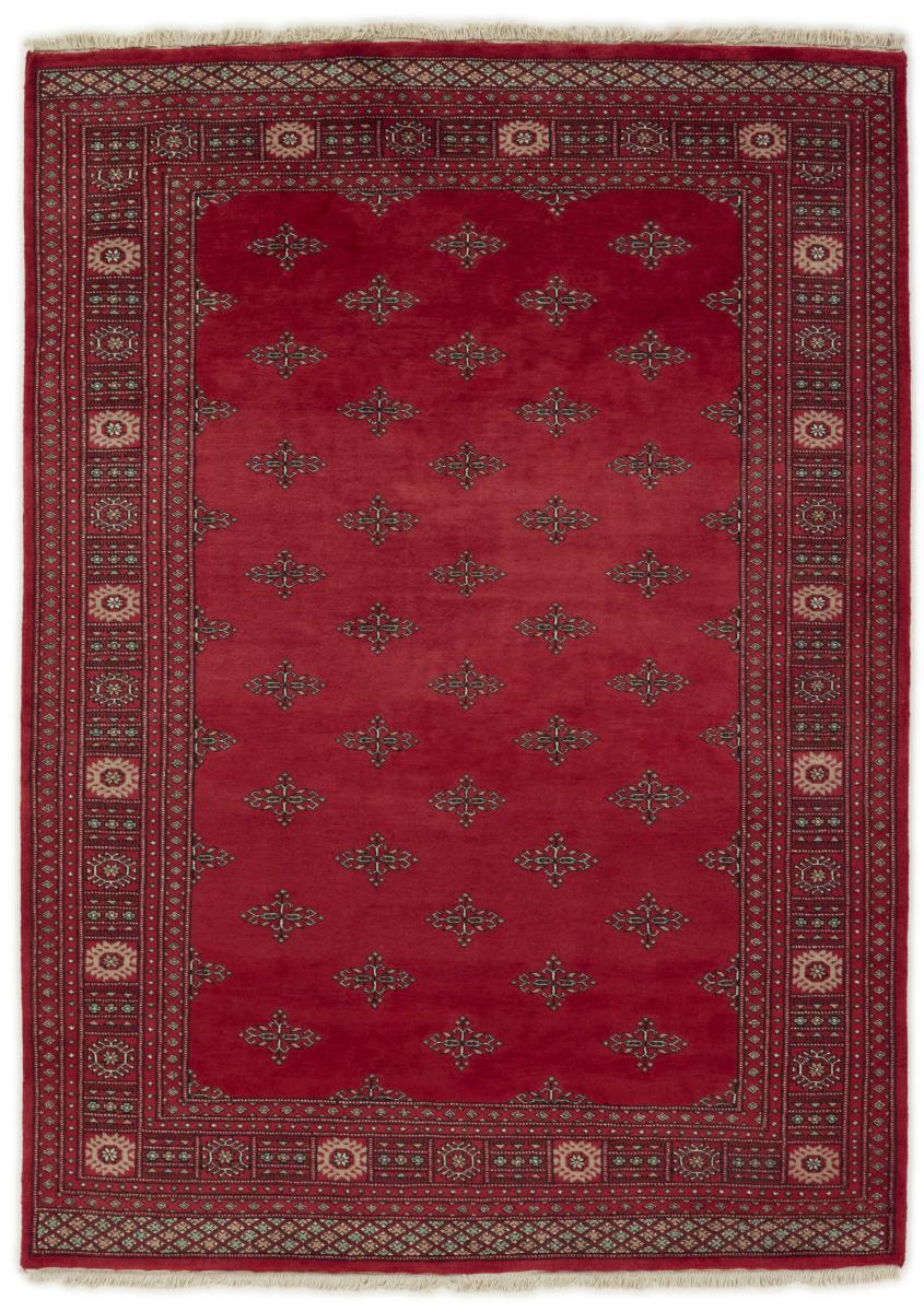 Pakistani rug Pakistan Buchara 2ply 239x170 239x170, Persian Rug Knotted by hand