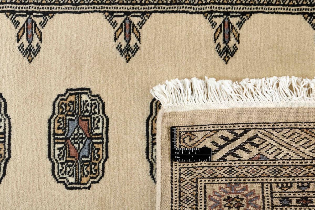 Pakistan Buchara 2ply - 1