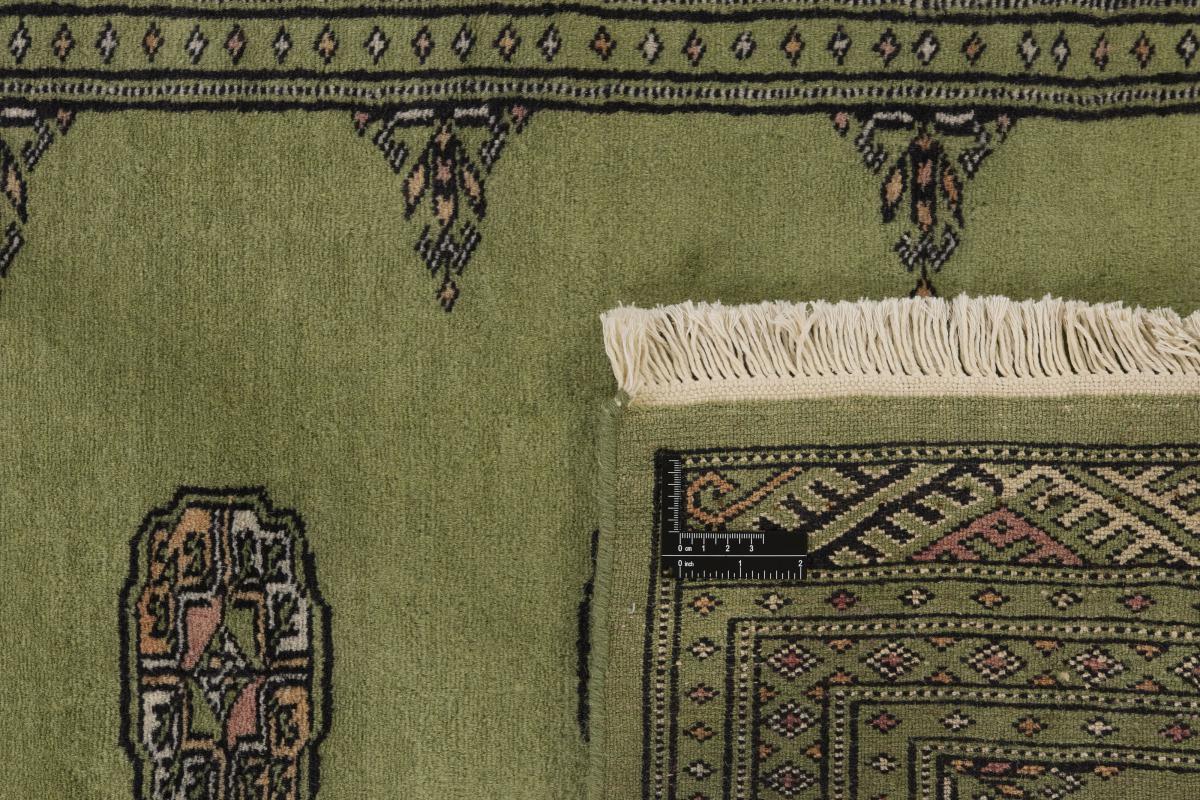 Pakistan Buchara 2ply - 1