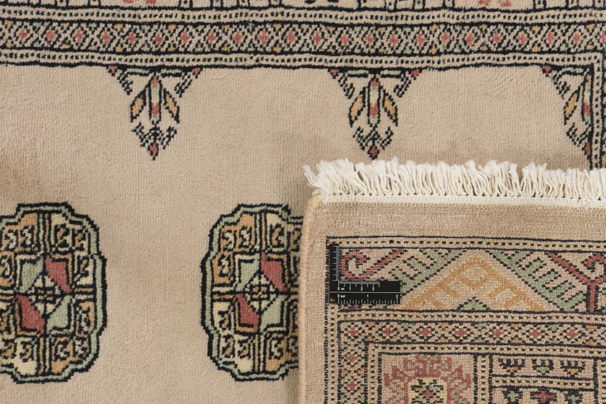 Pakistan Buchara 3ply - 1