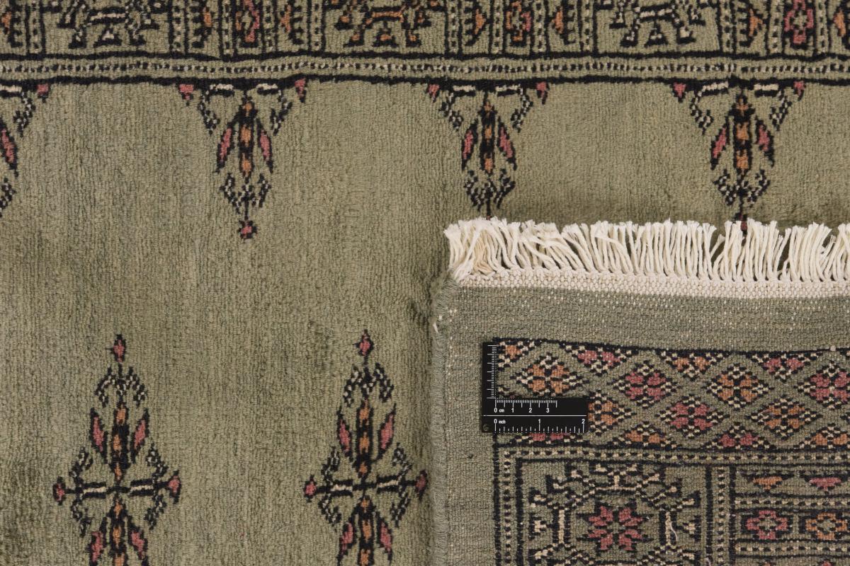 Pakistan Buchara 3ply - 1