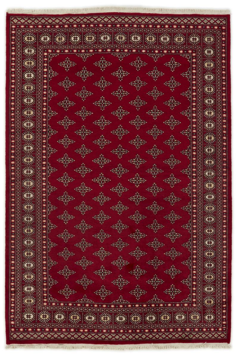 Tappeto pakistano Pakistan Buchara 2ply 249x170 249x170, Tappeto persiano Annodato a mano