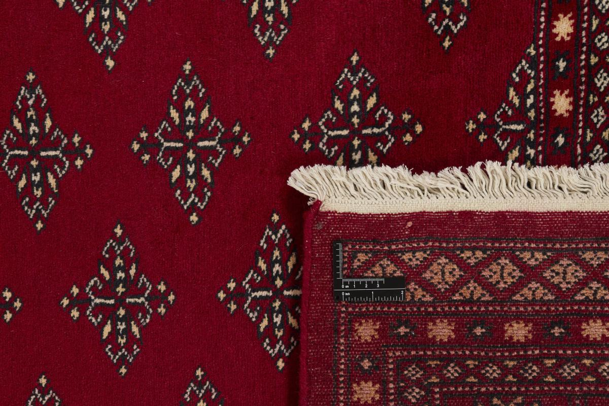 Pakistan Buchara 2ply - 1