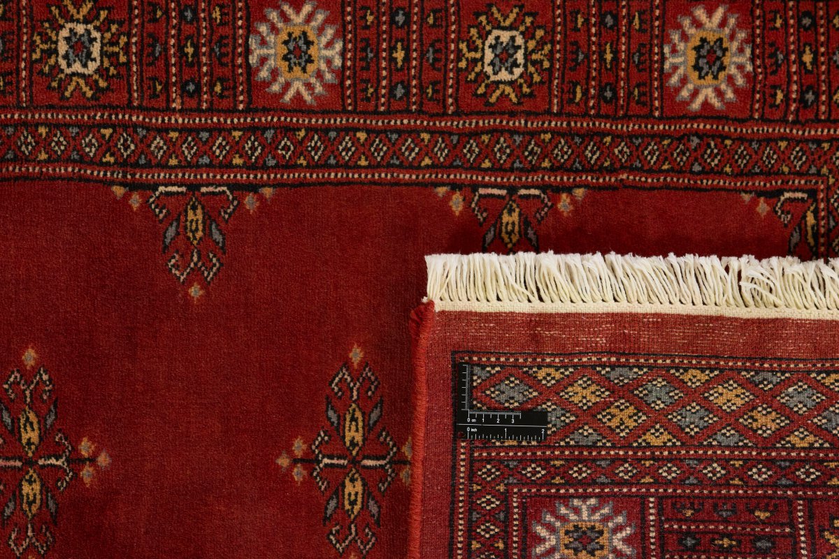 Pakistan Buchara 3Ply - 1