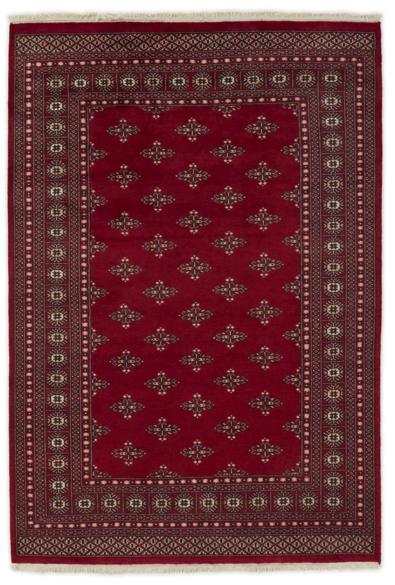 Tappeto pakistano Pakistan Buchara 2ply 248x172 248x172, Tappeto persiano Annodato a mano