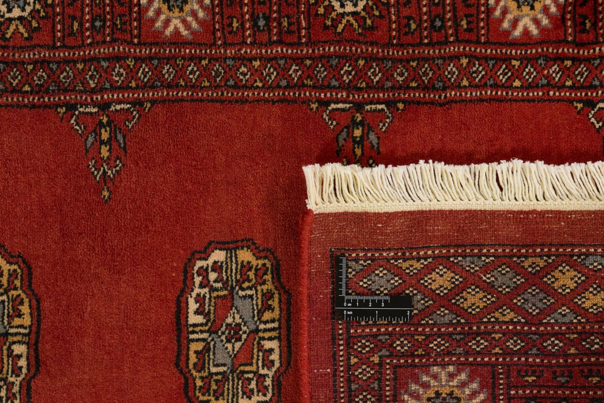 Pakistan Buchara 3Ply - 1