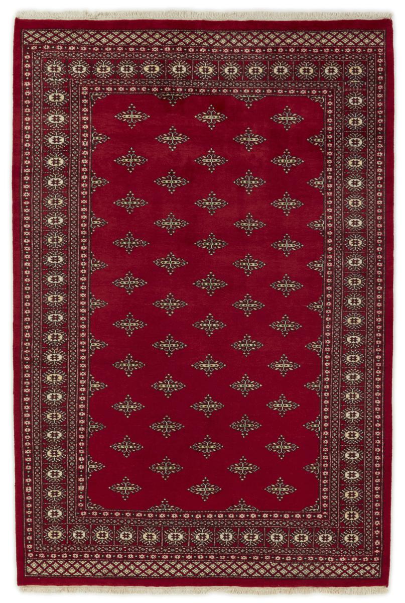 Tapis pakistanais Pakistan Buchara 2ply 252x168 252x168, Tapis persan Noué à la main
