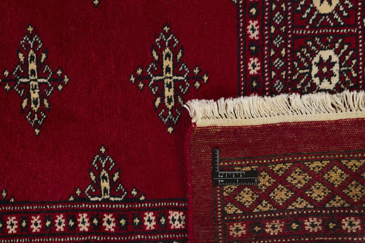 Pakistan Buchara 2ply - 1